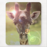 Giraffe Use Pads