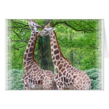 Giraffe Pair Greeting Card