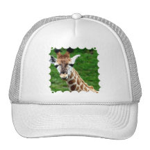 Giraffe Photo Baseball Hat