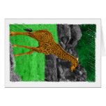 Giraffe photo colourized orange and green cards