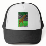 Giraffe photo colourized orange and green hats