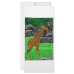 Giraffe photo colourized orange and green rack cards