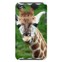 Giraffe Photo iTouch Case Barely There iPod Case