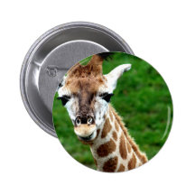 Giraffe Photo Round Button