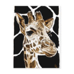 giraffe