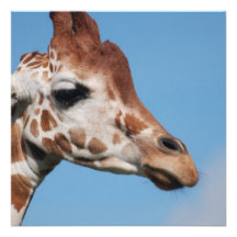 Giraffe Profile Invitations