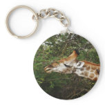 Giraffe safari gifts keychains
