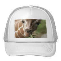 Giraffe Snack Baseball Cap Trucker Hats