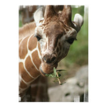 Giraffe Snack Invitation
