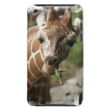 Giraffe Snack iTouch Case iPod Touch Case