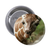 Giraffe Snack Round Pin