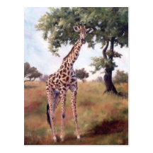 Giraffe Standing Tall Postcard
