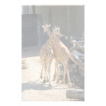 giraffe stationary customized stationery