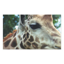 Giraffe Sticker