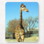 GIRAFFE STICKING IT'S TONGUE OUT mousepads