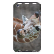 Giraffe Tongue iTouch Case iPod Touch Cases