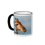 Giraffe wild animal calendars coffee coffee mug