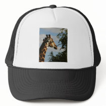 Giraffe wildlife safari hats & caps