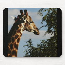 Giraffe wildlife safari mousepads