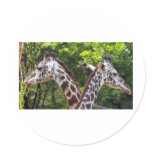 Giraffe X 2 Round Stickers