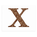Giraffe X Post Card