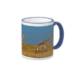 Giraffes at Etosha NP Coffee Mugs