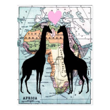Giraffes in love post card
