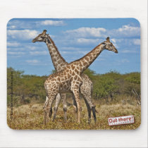 Giraffes mousepads