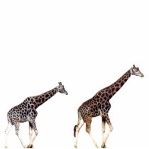 giraffes photo cut outs
