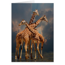 GIRAFFIC FANTASY CARD
