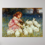 Girl feeding White Rabbits posters