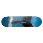 girl skate bored or child boy skateboards