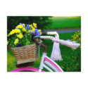 Girls Just Wanna Have Fun, Pink Girls Bicycle postcards