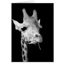 girrafe greeting card