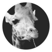 girrafe stickers