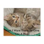 Give A Hug Kitty Postcard