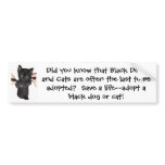 Give Black Pets a Chance!