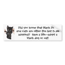 Give Black Pets a Chance!