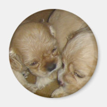 Give me a kiss fridge magnet
