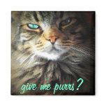 Give me purrs? refrigerator magnet