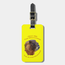 Give Me the Mountains...Marmot
