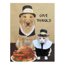 Give Thanks Post Card