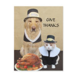 Give Thanks postcards