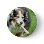 Give the Dog a Bone Pin