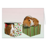 Give the gift of rescue card