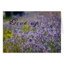 Give Up Cards