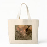 Give us a kiss bags