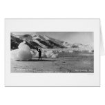 Glacier Flirting Alaska 1914 cards