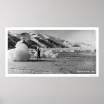Glacier Flirting Alaska 1914 posters