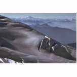 Glacier Taking Form Acrylic Cut Outs